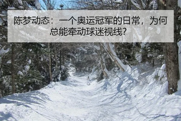 陈梦动态：一个奥运冠军的日常，为何总能牵动球迷视线？